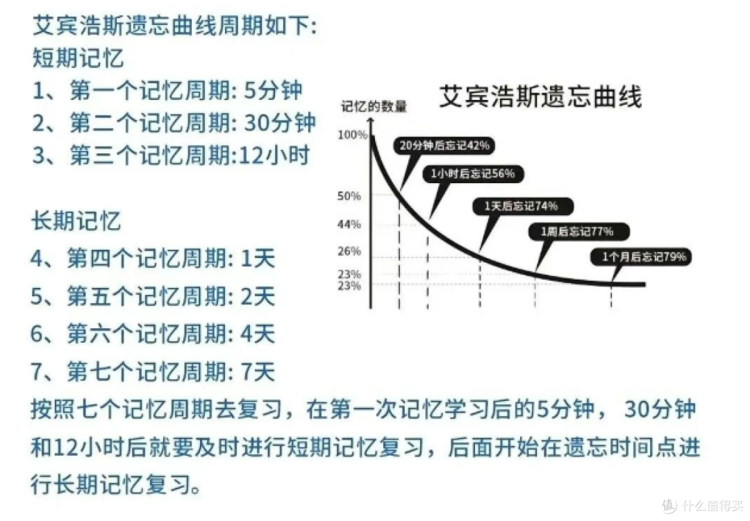 深度体验疯狂伴习的"抗遗忘复习"系统:科学还是噱头?