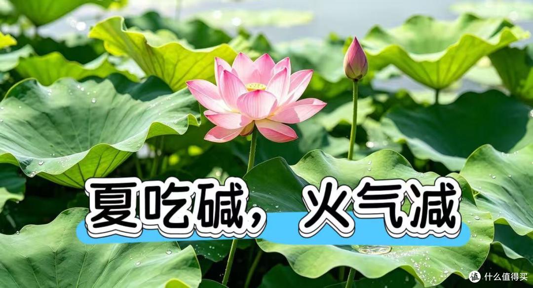 老话说 “夏吃碱,火气减”三伏天多吃这碱性食物,少犯困不上火