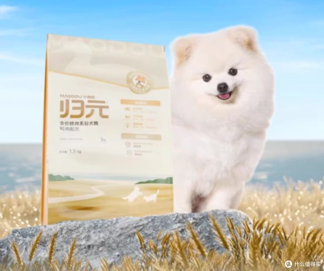 柯基太瘦了,选对养胃长肉粮有多重要?适合长肉的狗粮品牌有哪些