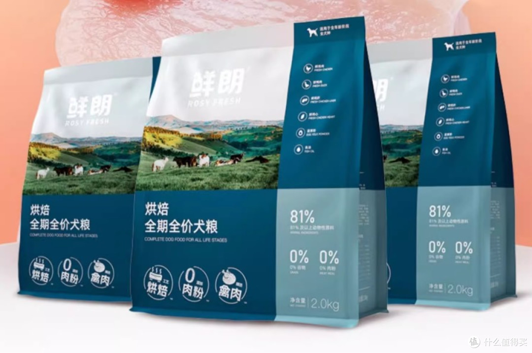 柯基太瘦了,选对养胃长肉粮有多重要?适合长肉的狗粮品牌有哪些