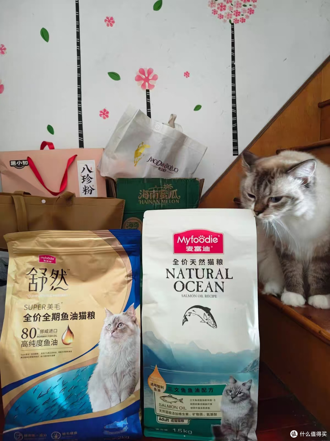无限回购的日常猫粮｜麦富迪三文鱼油款
