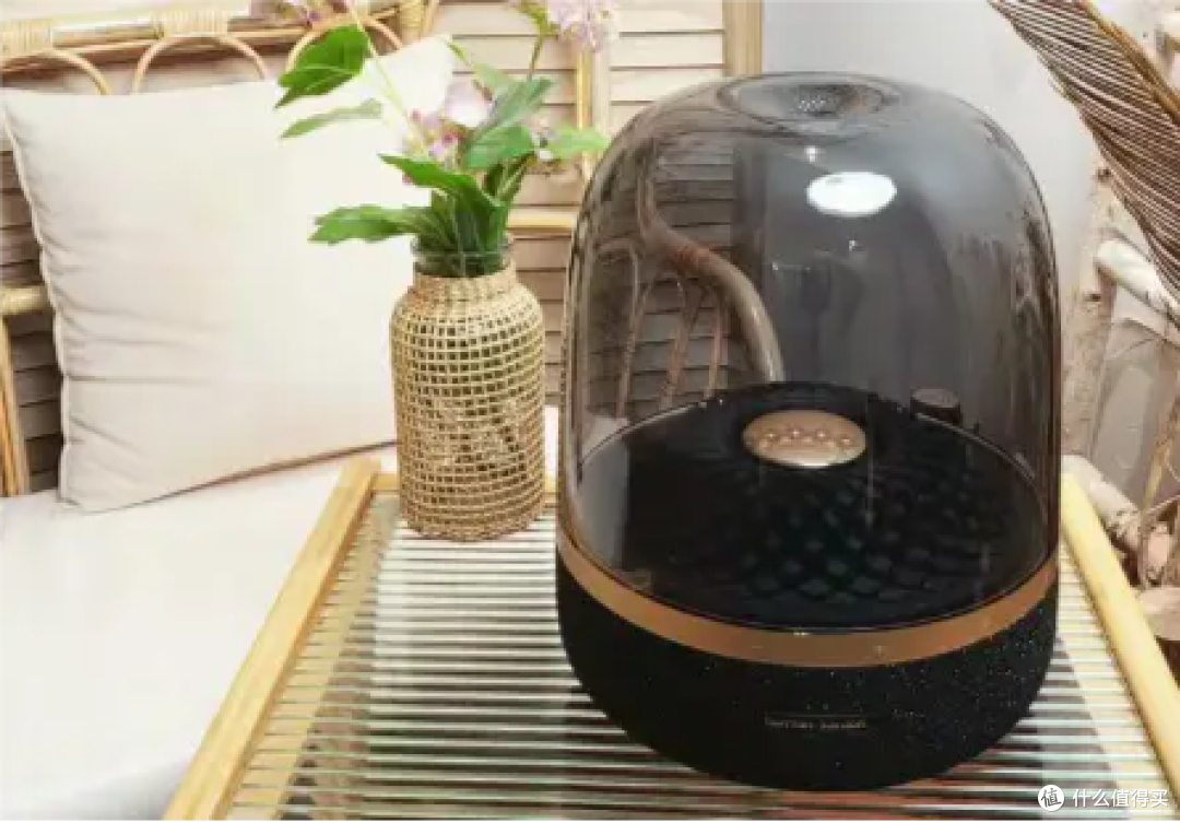 户外音箱什么品牌最好?热门户外音箱评测,没想到这款最好