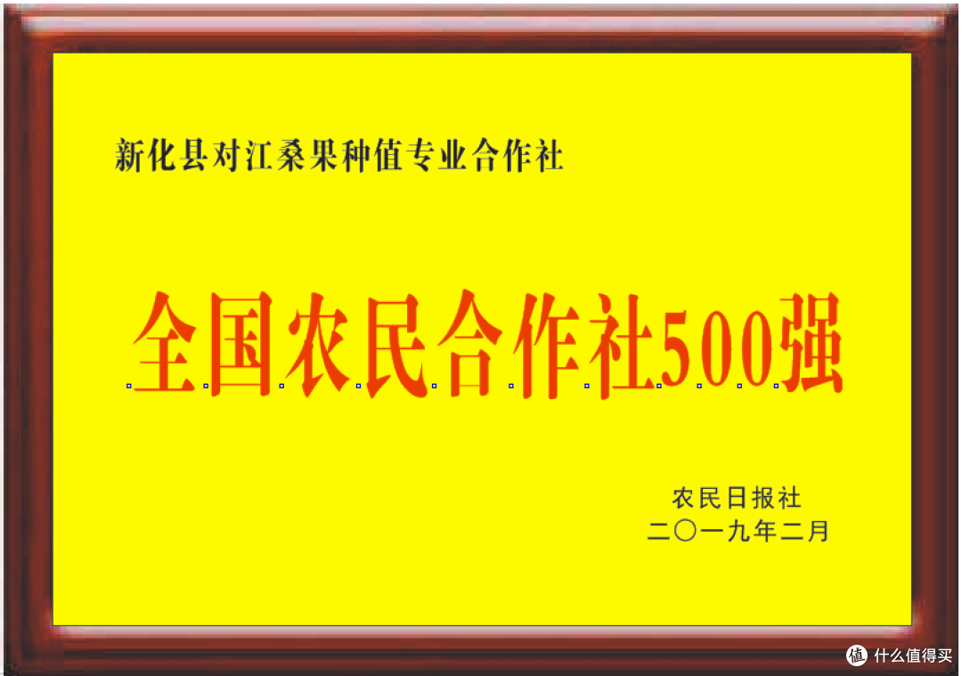 2026新化县新鲜水果购买渠道评价报告