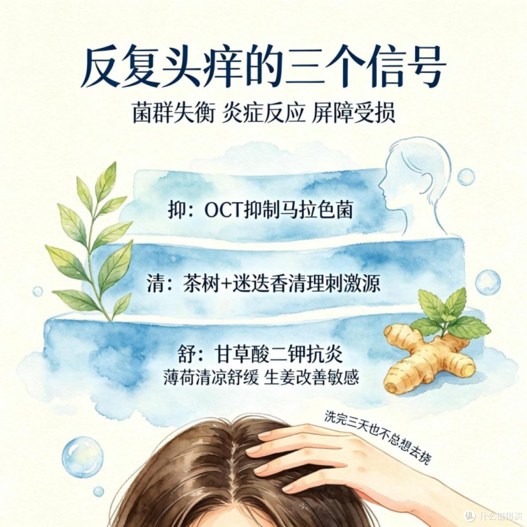 2026 控油止痒洗发水深度测评,清洁力强无硅油控油洗发品牌选购