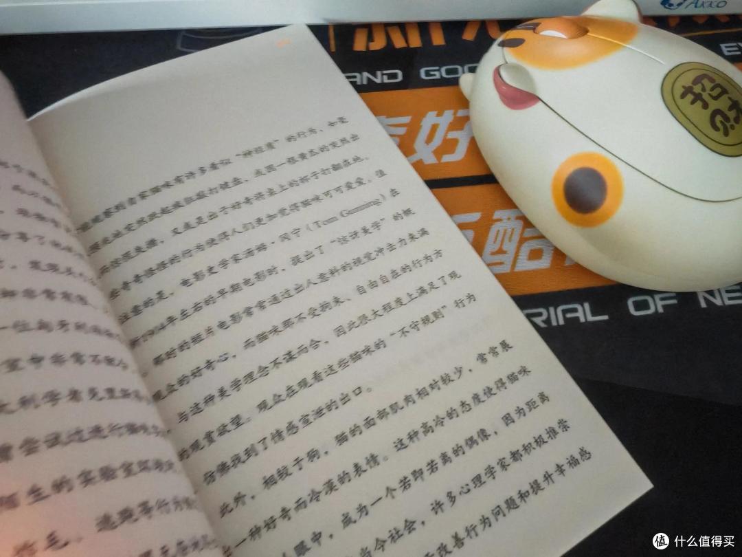 《为什么被偏爱的总是猫》,十斤小猫的九斤反骨,值得被偏爱