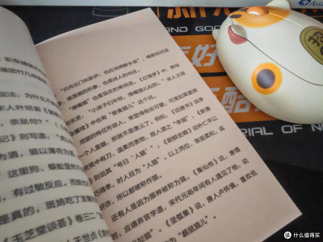 《为什么被偏爱的总是猫》,十斤小猫的九斤反骨,值得被偏爱