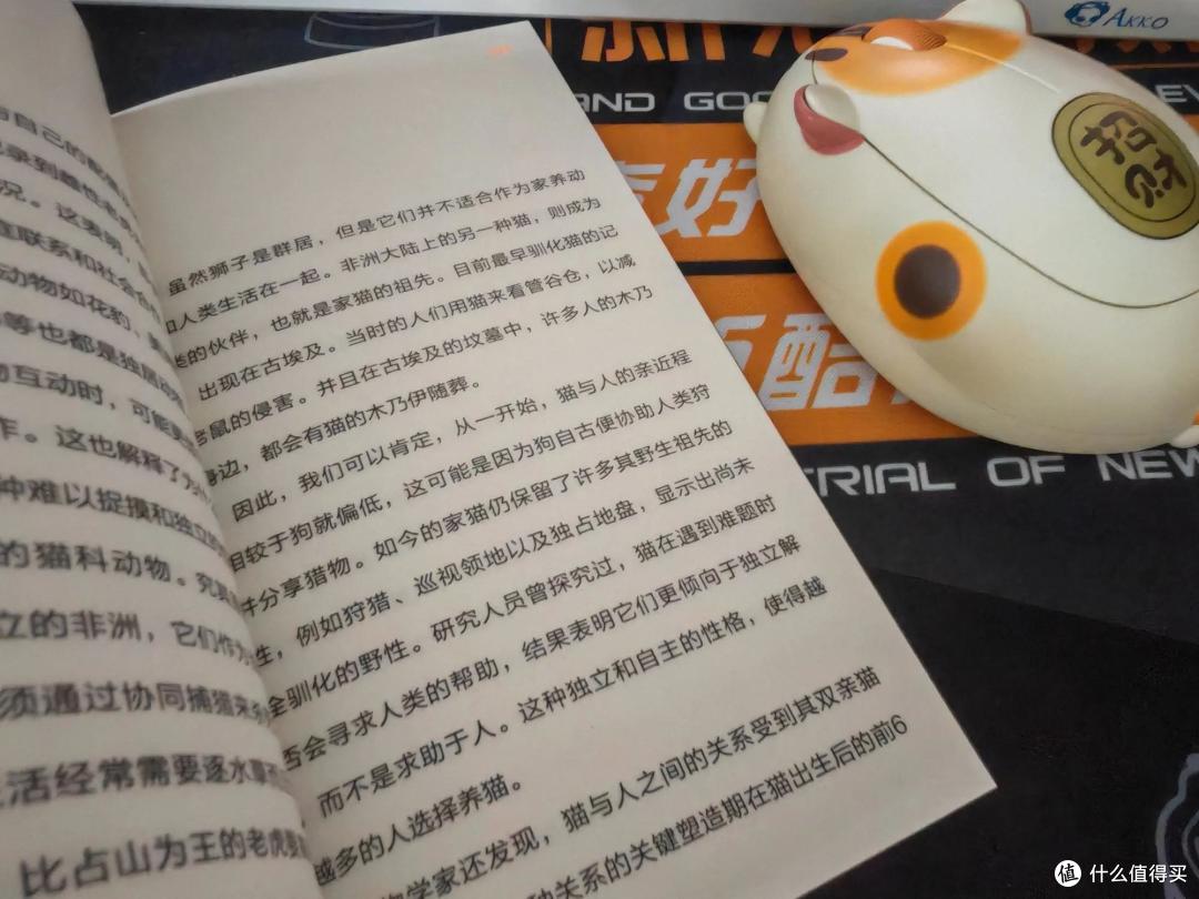《为什么被偏爱的总是猫》,十斤小猫的九斤反骨,值得被偏爱