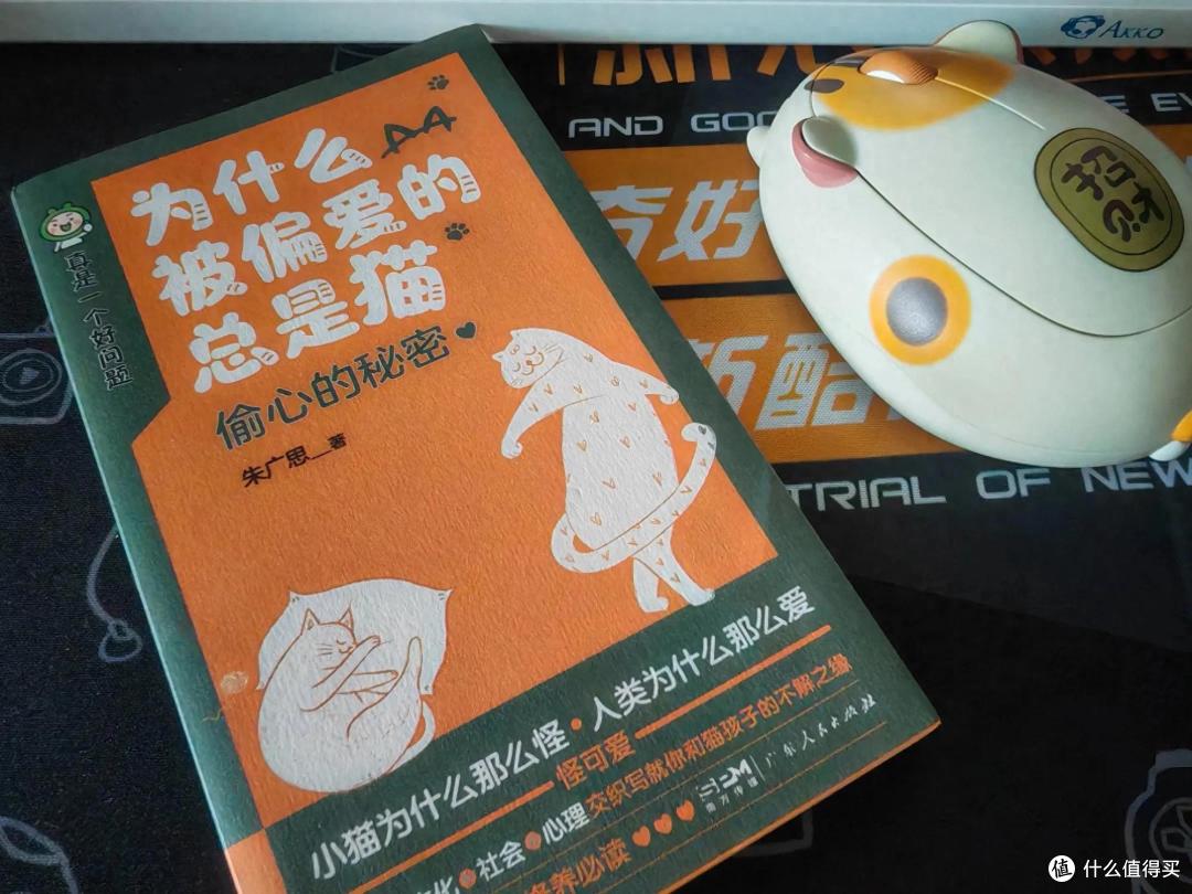《为什么被偏爱的总是猫》,十斤小猫的九斤反骨,值得被偏爱