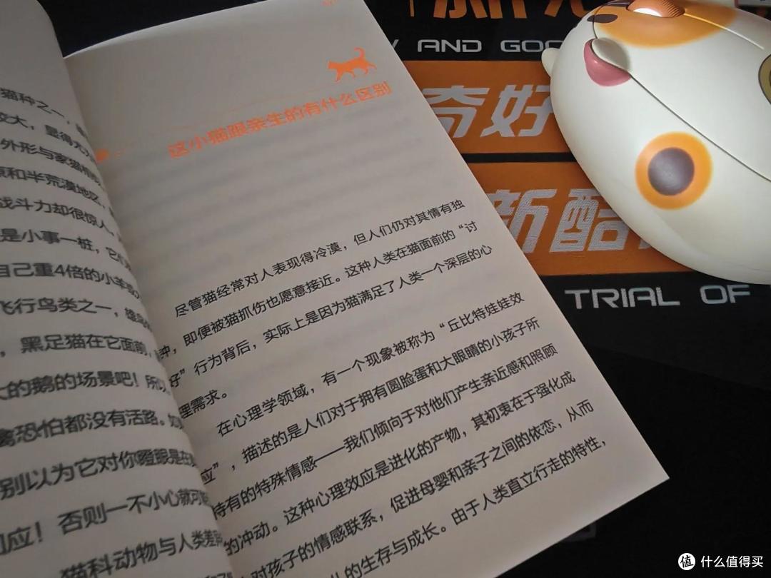 《为什么被偏爱的总是猫》,十斤小猫的九斤反骨,值得被偏爱