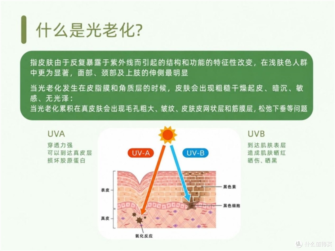 保湿面霜推荐:2026干皮敏感肌实测,长效锁水修护看这10款