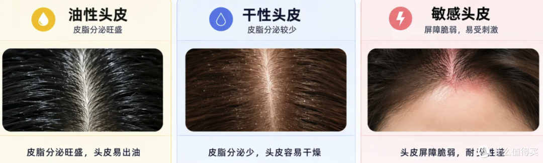 评论有奖｜这几件夏季洗护小事全网愣是争了好几年，今天一次性说清楚