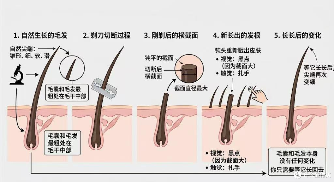 评论有奖｜这几件夏季洗护小事全网愣是争了好几年，今天一次性说清楚