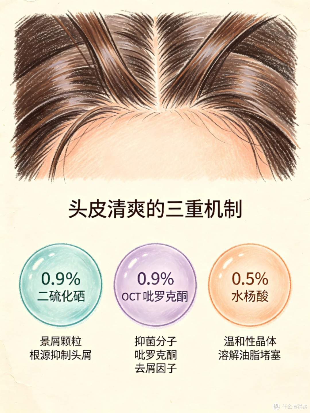 2026去屑止痒洗发水合集:公认好用款推荐,效果持久告别头屑头痒