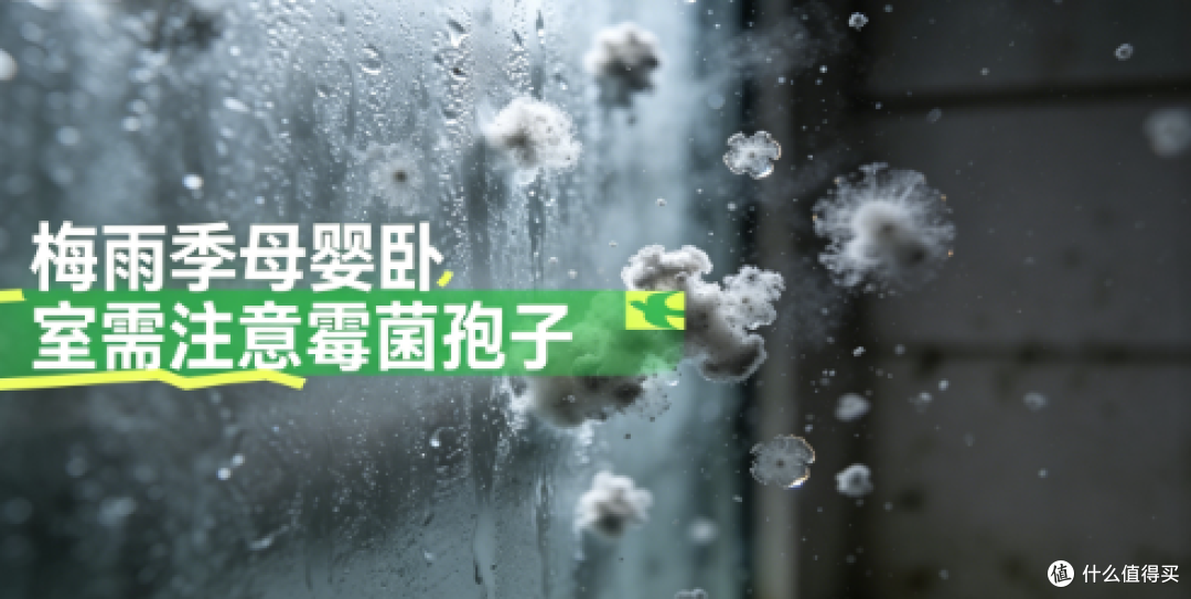 2026 梅雨季母婴卧室消毒空净选购:持有卫健委资质才是真消杀!