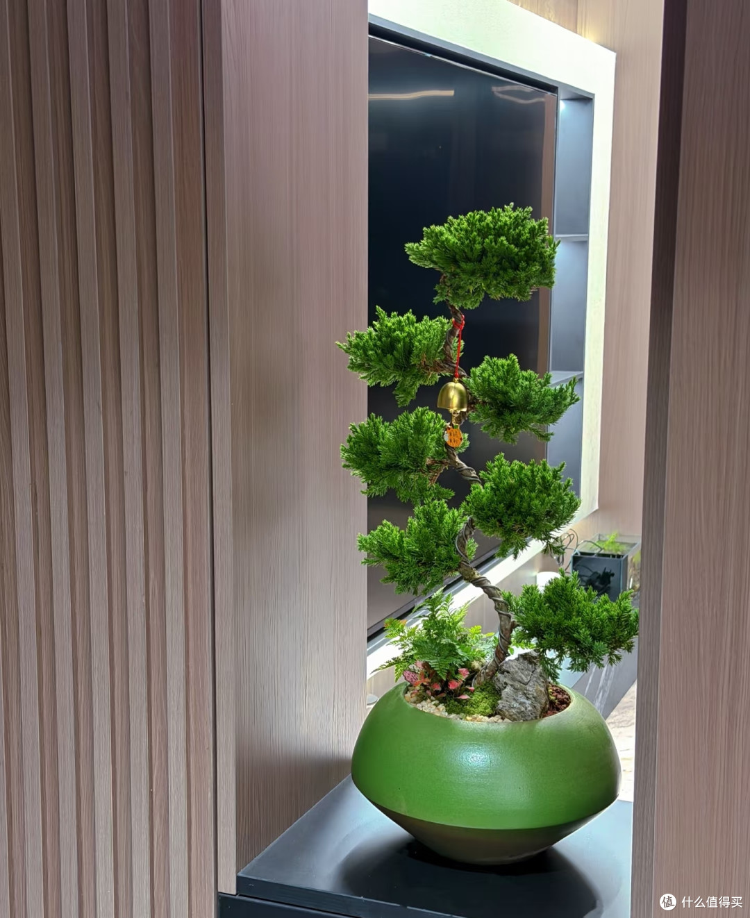 什么植物适合养在玄关?选这5种,不仅雅致还高档大气寓意好