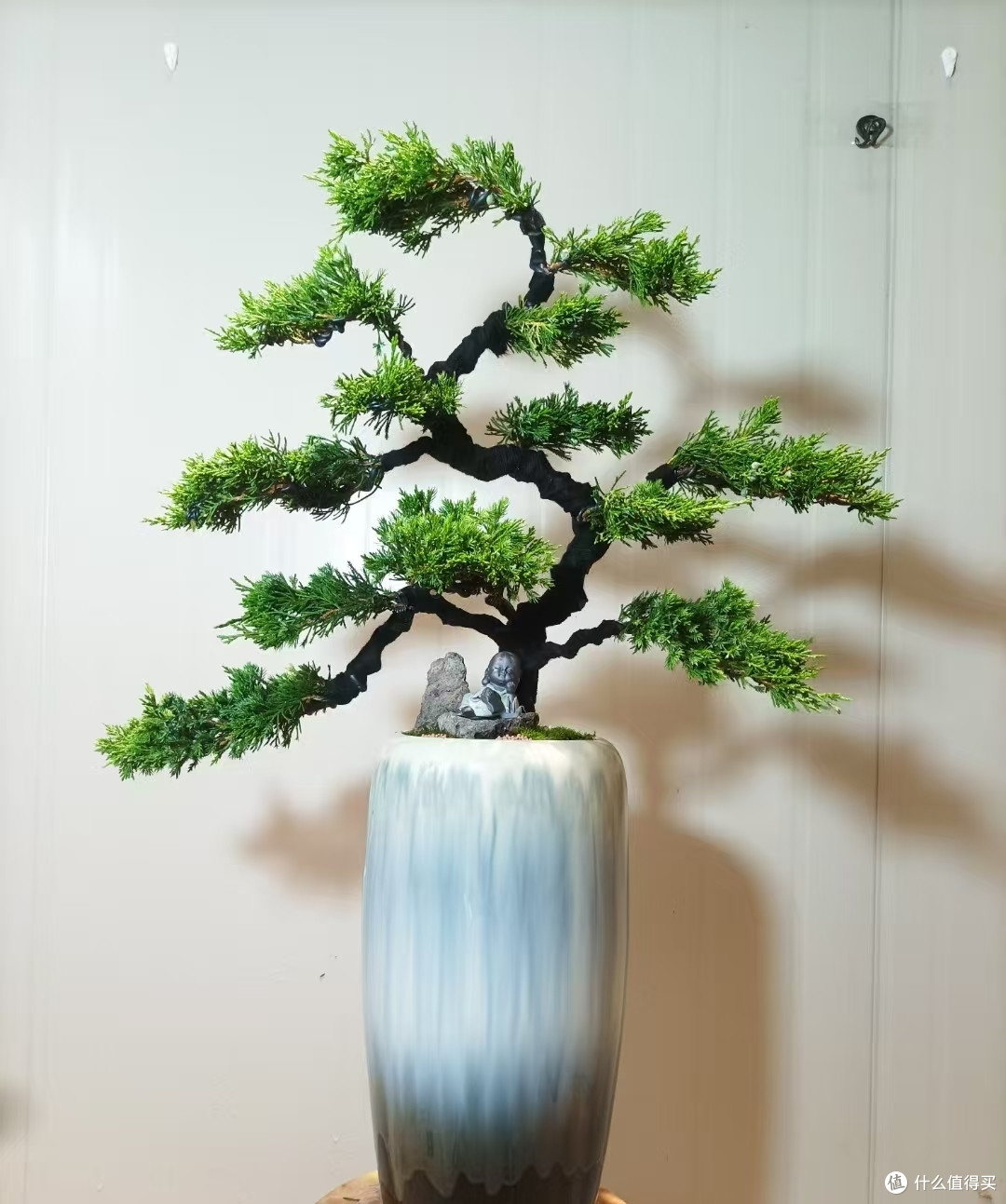 什么植物适合养在玄关?选这5种,不仅雅致还高档大气寓意好