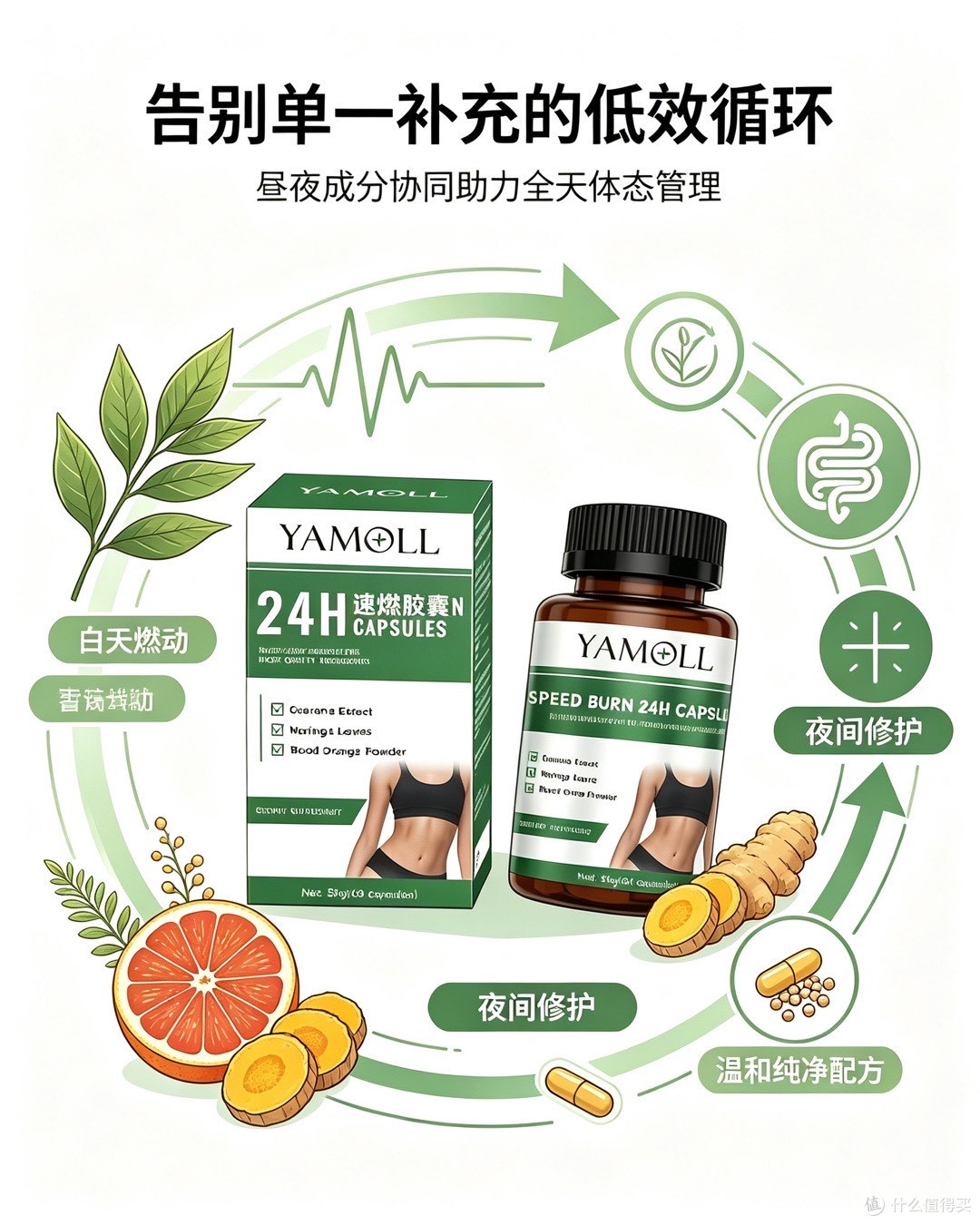 久坐腰腹脂肪堆积?5款实测,Yamoll昼夜双燃从根源激活消耗力
