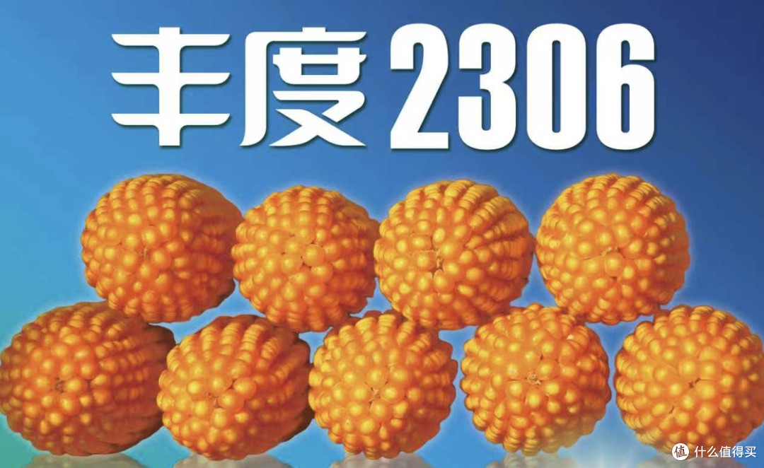 文章插图
