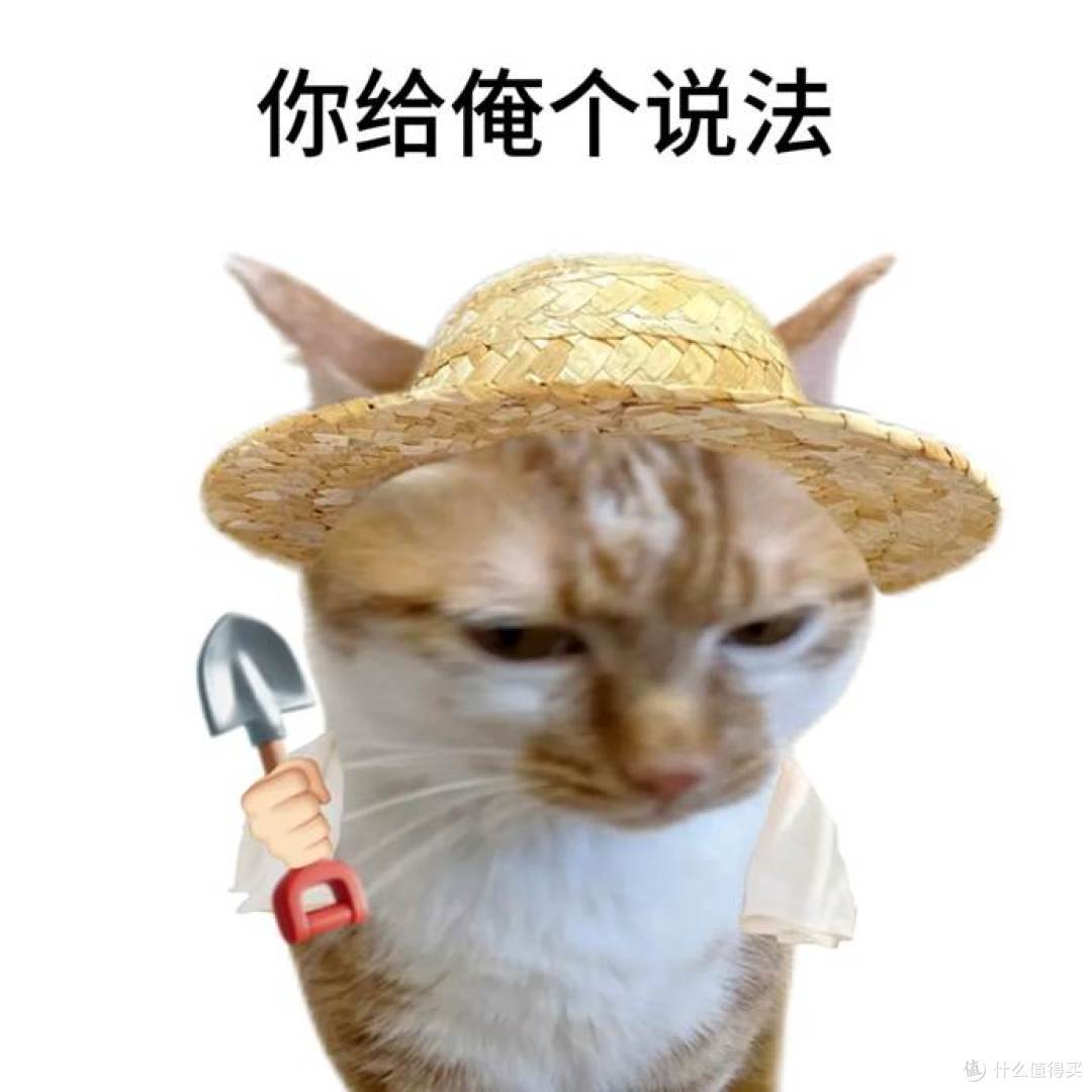 细软断发多头皮精华怎么选?发缝消失术!这4款防脱精华绝了