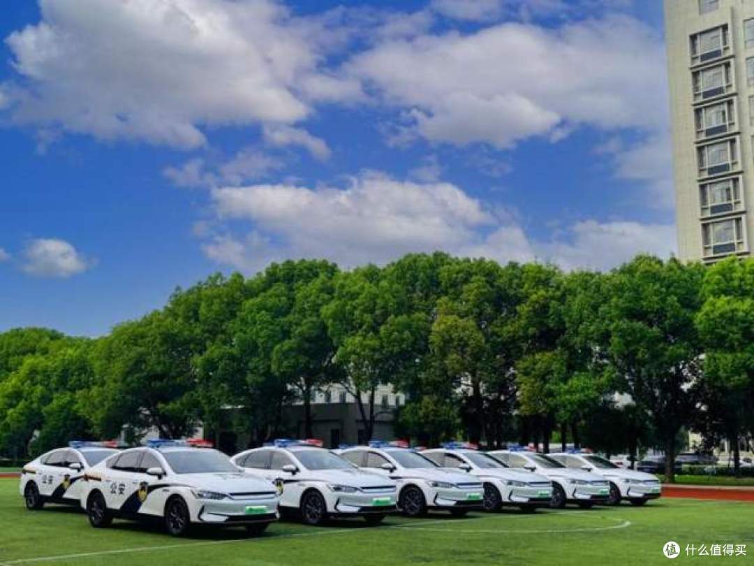 世界杯最出圈黑马佛得角 揭开比亚迪的全球公务车版图-锋巢网