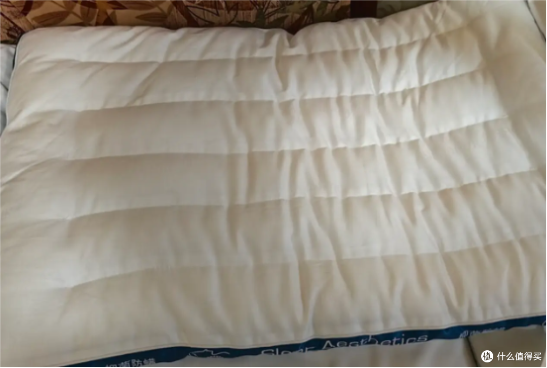 乳胶枕头哪个牌子好,前十天然填充枕头和记忆棉枕头大比拼