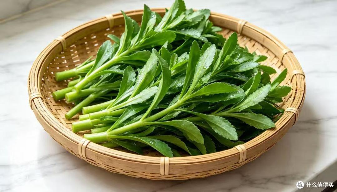明日中伏,这道天然“养心菜”抓紧吃,清爽解燥,老少都爱吃