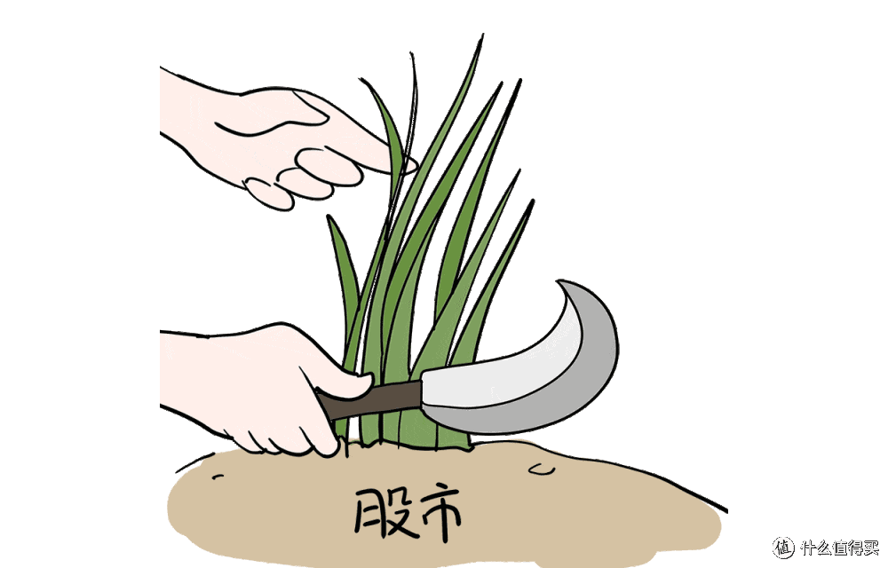 韩股芯片泡沫破裂，杠杆爆仓遍地！普通人投资务必远离这些陷阱