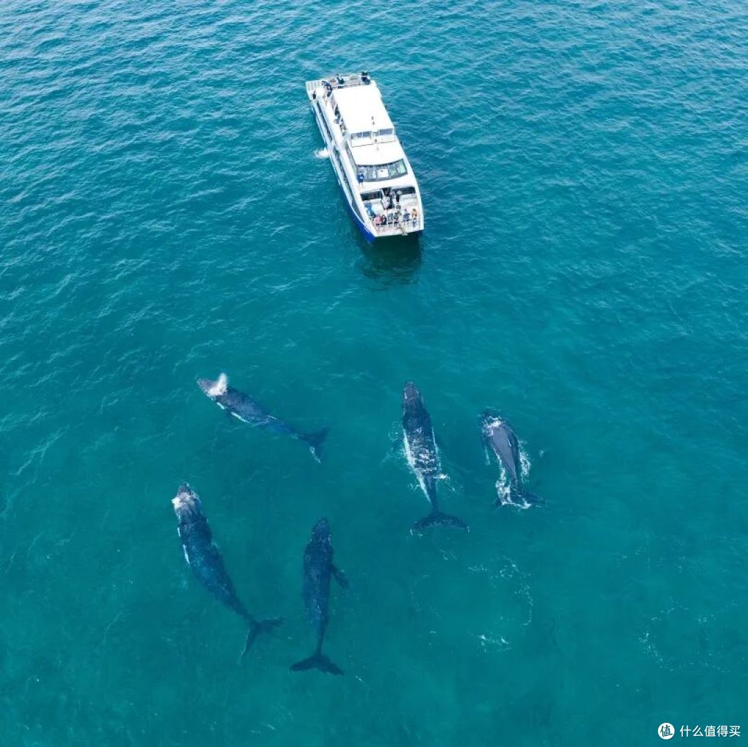📍Hervey Bay, Fraser Coast, Queensland  📷 / © Tourism Australia