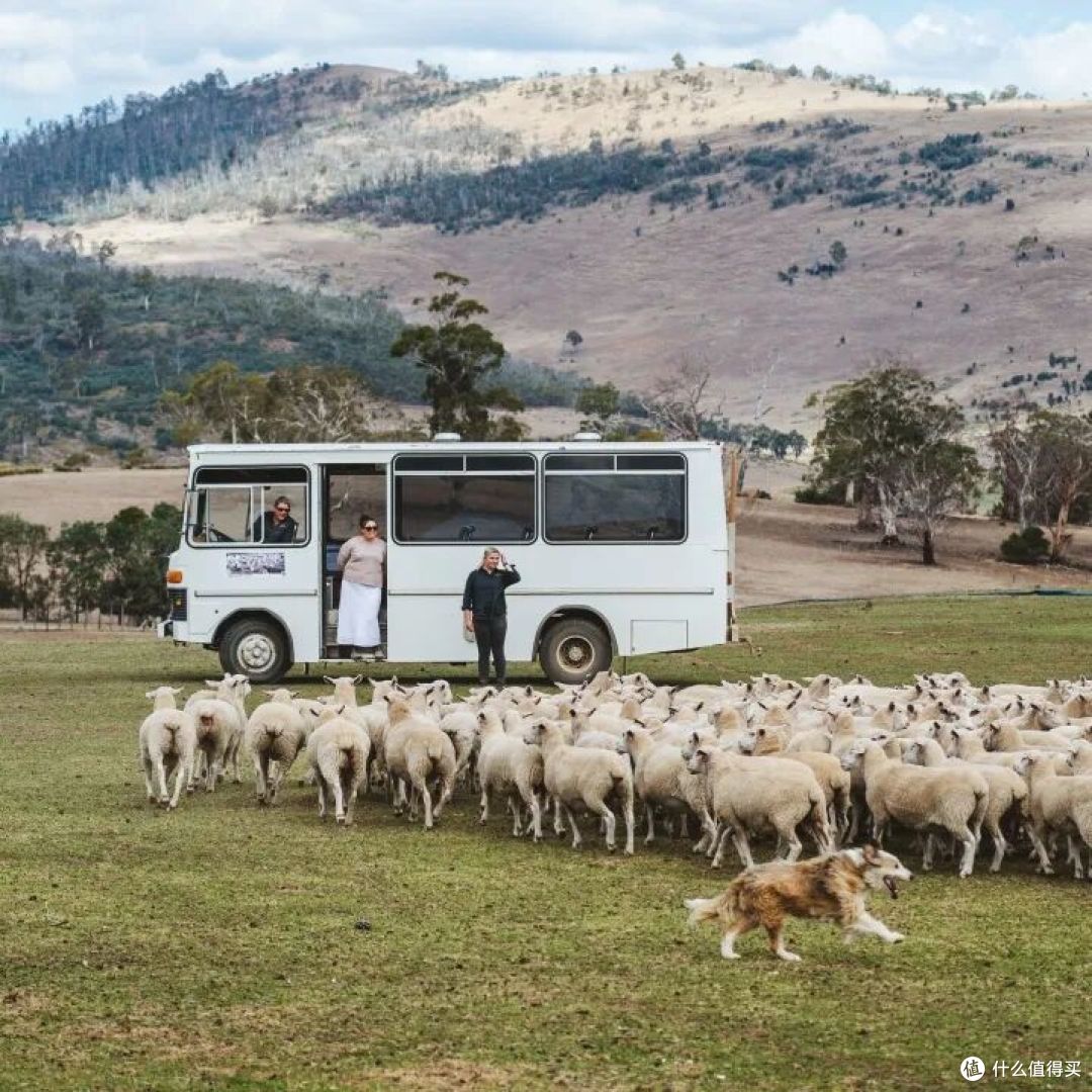 📍Curringa Farm, Hamilton, Tasmania  📷 / © Stu Gibson