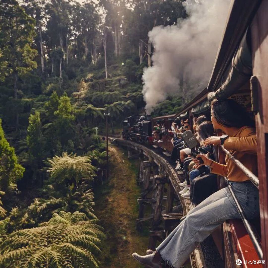📍Puffing Billy Railway, Victoria  📷 / © Safari Global
