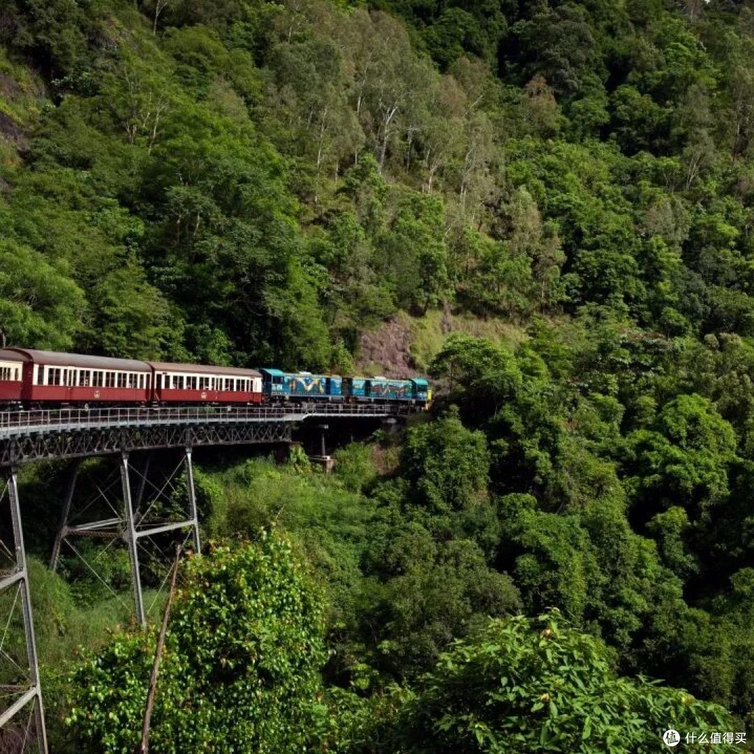 📍Kuranda Scenic Railway, Queensland  📷 / © Tourism Australia