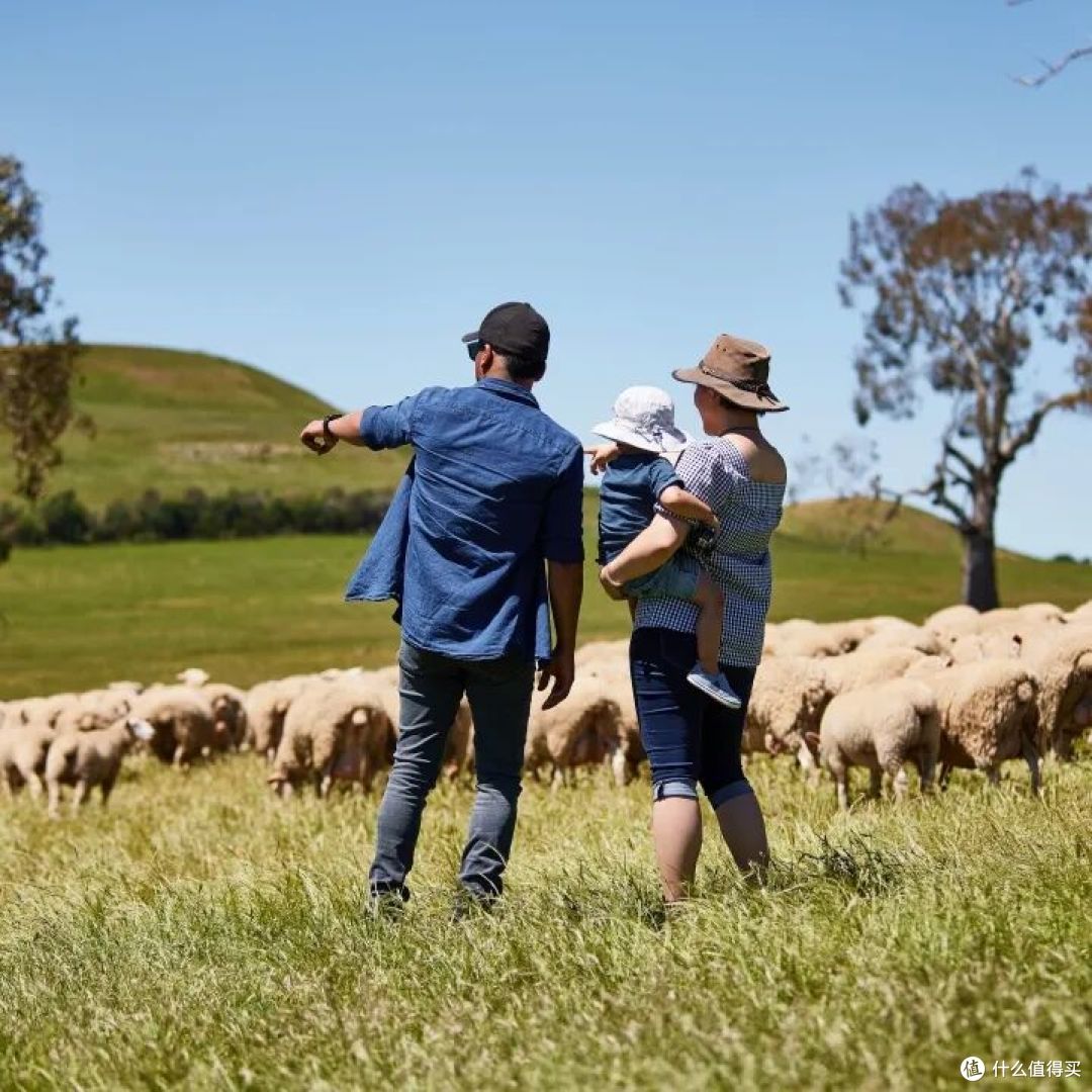 📍Curringa Farm, Hamilton, Tasmania  📷 / © Tourism Australia