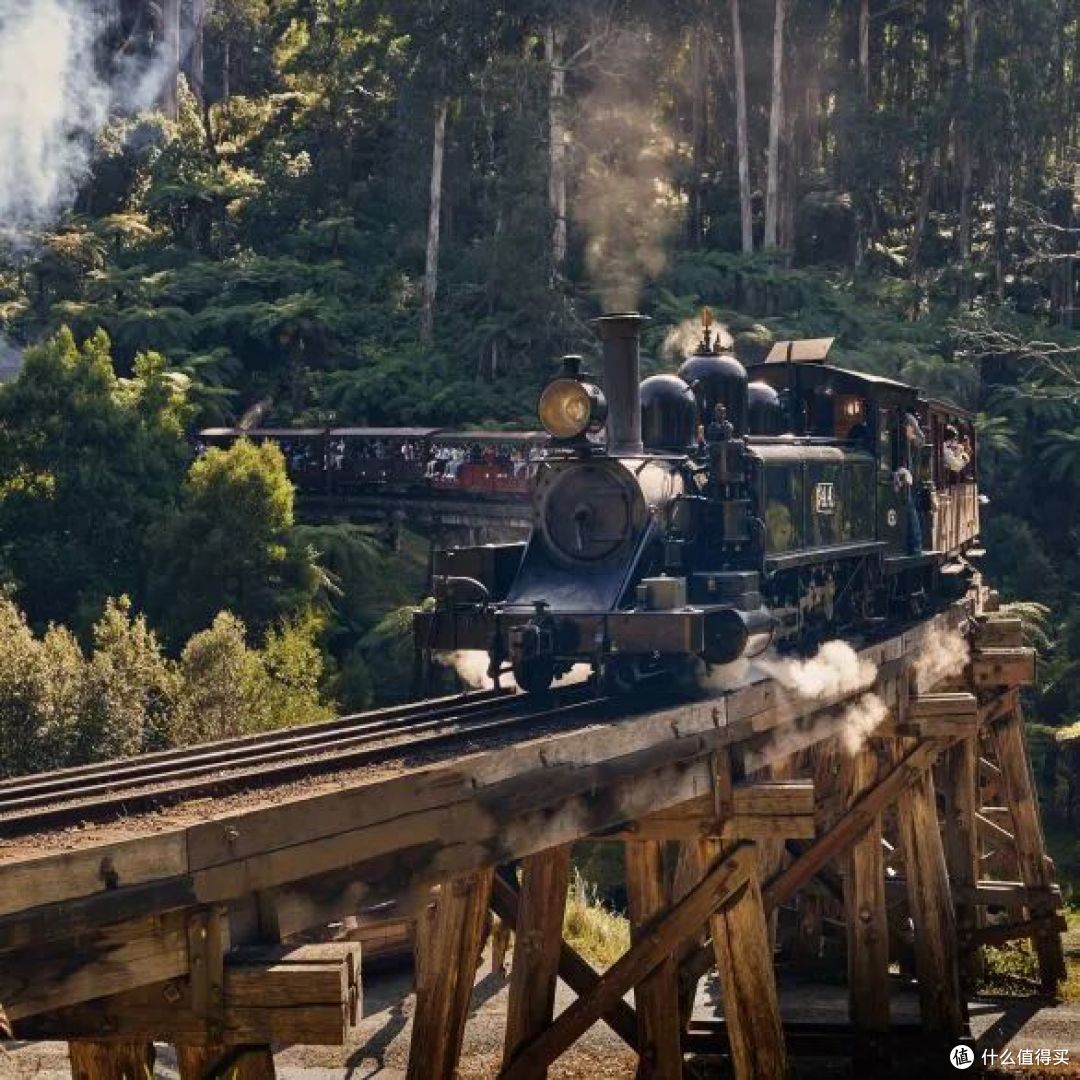 📍Puffing Billy Railway, Victoria  📷 / © Safari Global