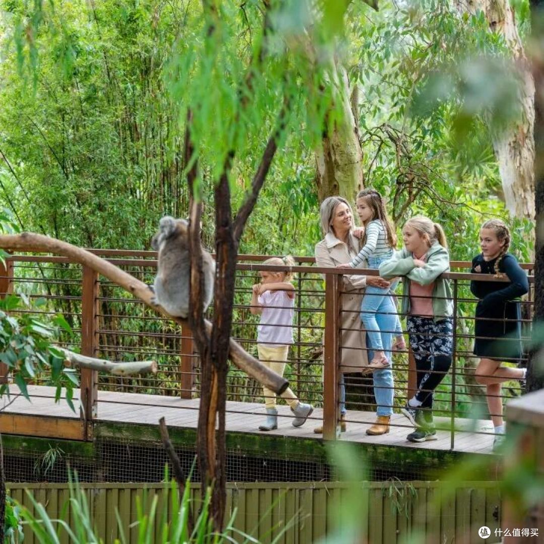 📍Gorge Wildlife Park, Adelaide Hills, South Australia  📷 / © Tourism Australia / South Australian Tourism Commission