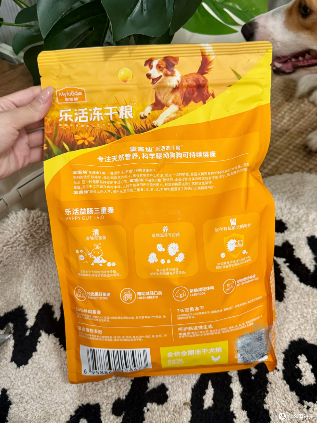 配图