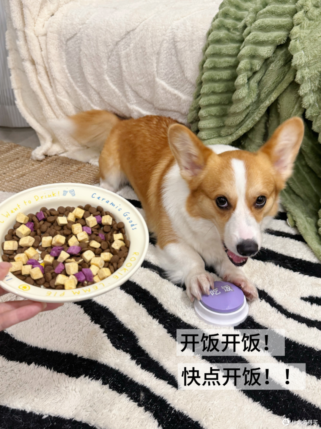 配图