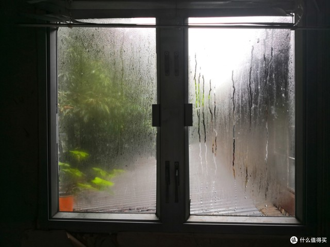 作为一个十年老鼻炎患者,夏普D20让我梅雨季少吃了半年的药