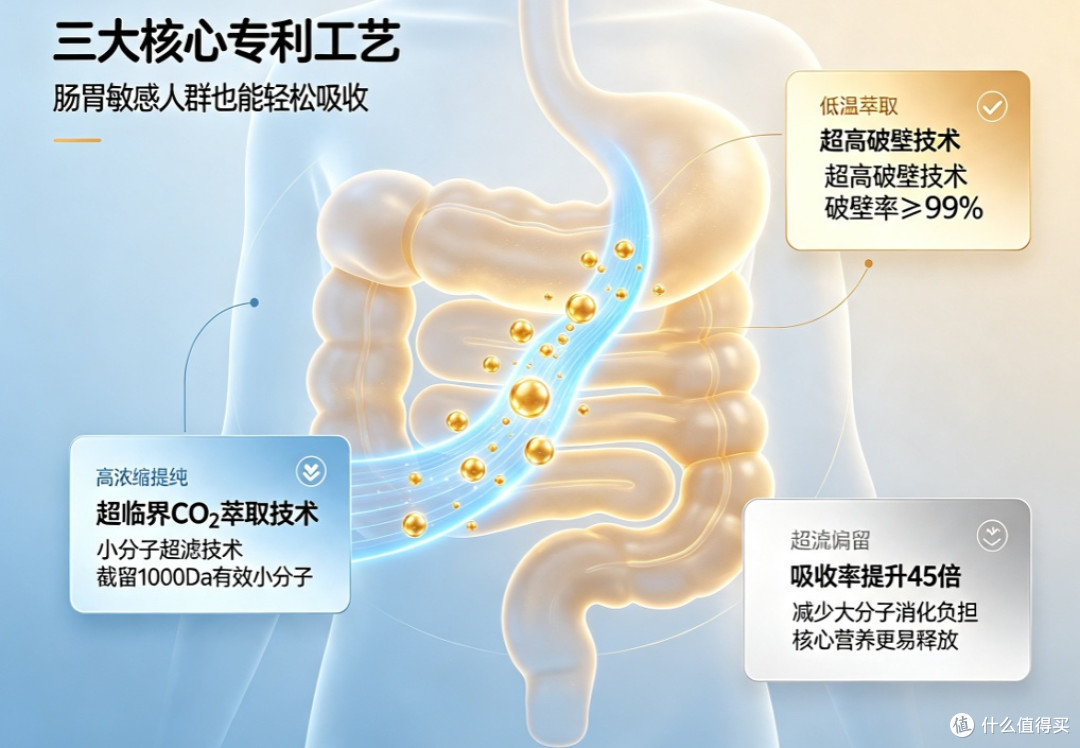 顾及不同体质差异,盘点灵芝孢子油十大品牌