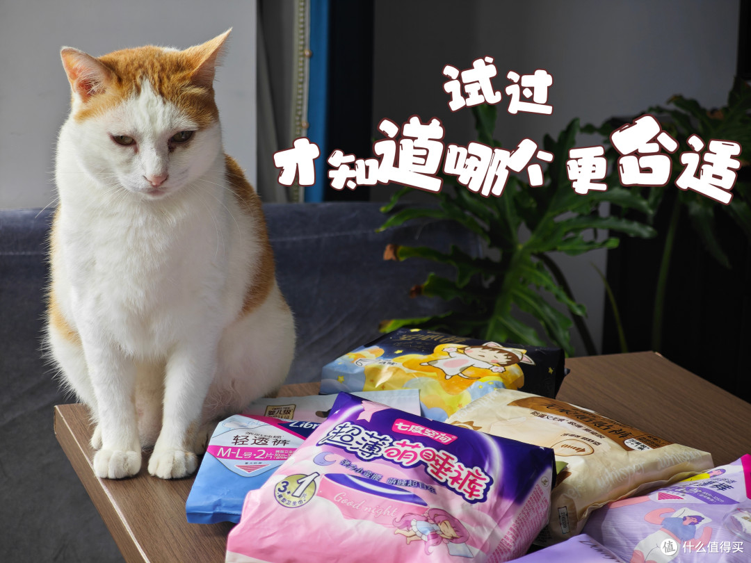 谁说白天不能穿安睡裤?七款真实测评,舒适防漏细节选购面面俱到