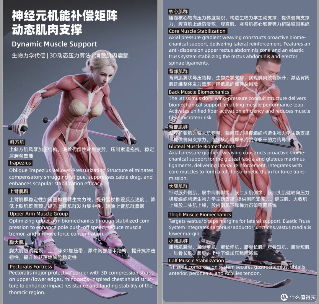Tnv滑雪速干衣神经元机能补偿矩阵展示图