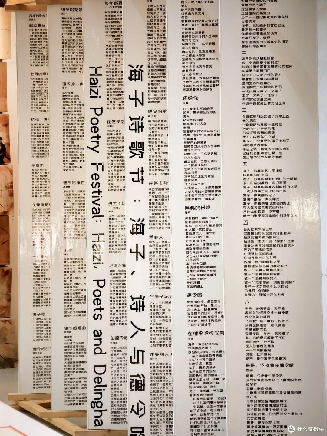 青海中部小城德令哈，名字够硬还有光伏塔！却迎来一茬茬文艺青年