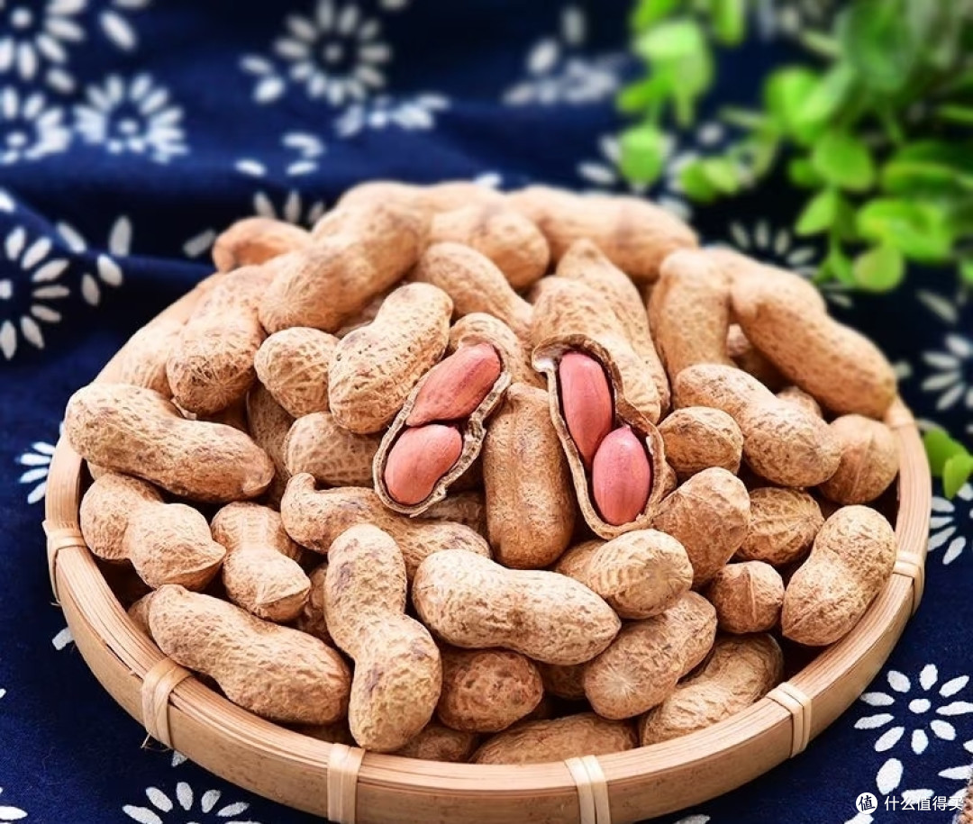 花生身上3样“废料”别丢!养蝴蝶兰不烧根不僵苗,比买花肥好用
