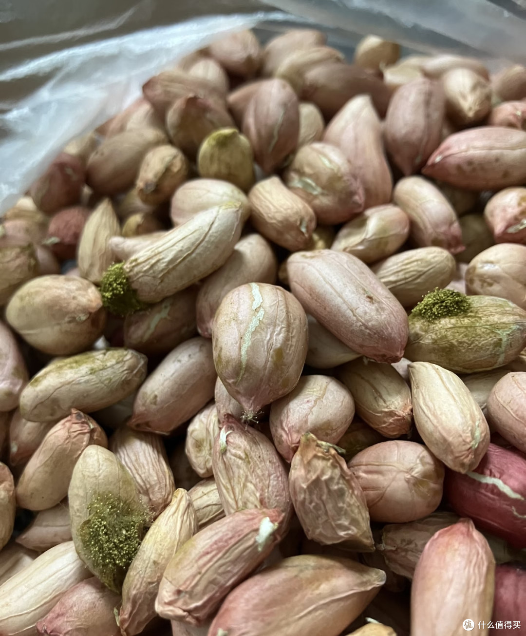 花生身上3样“废料”别丢!养蝴蝶兰不烧根不僵苗,比买花肥好用