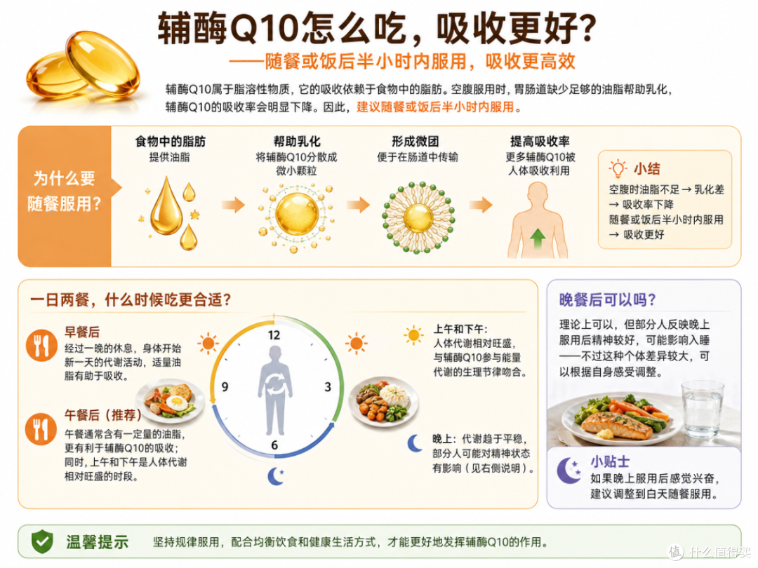高仕星辅酶Q10备孕服用指南：时间、剂量、注意事项
