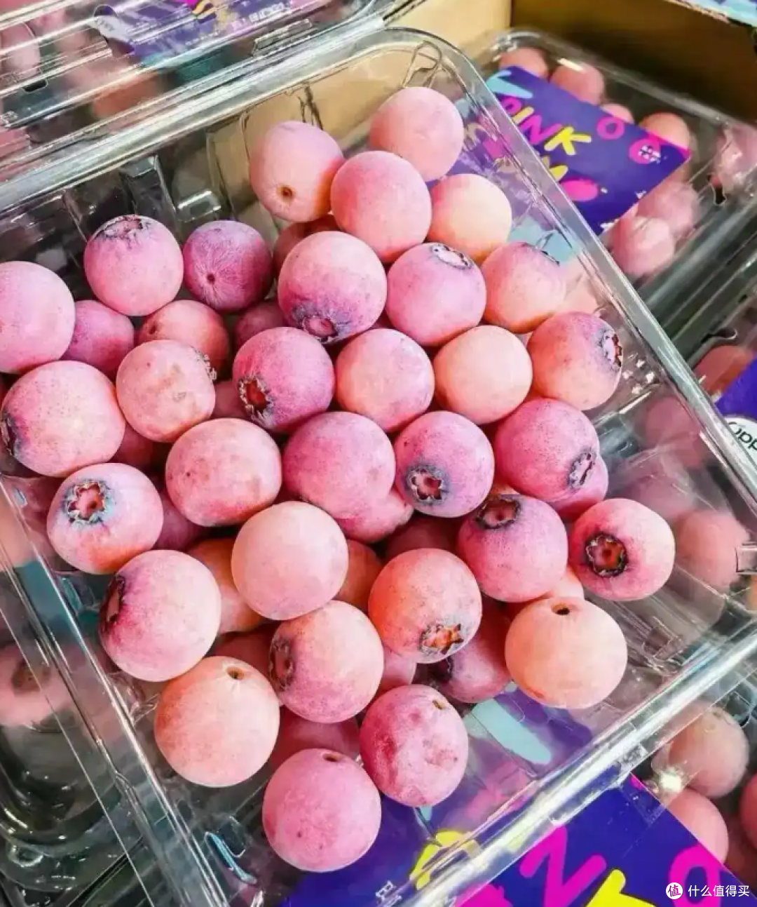 一斤640元！粉色蓝莓比普通蓝莓贵20倍，网友看懵