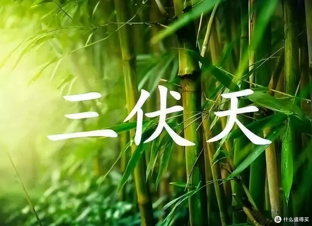 天气热不知道吃什么,推荐来做这5道下饭菜,保证大人小孩都爱吃