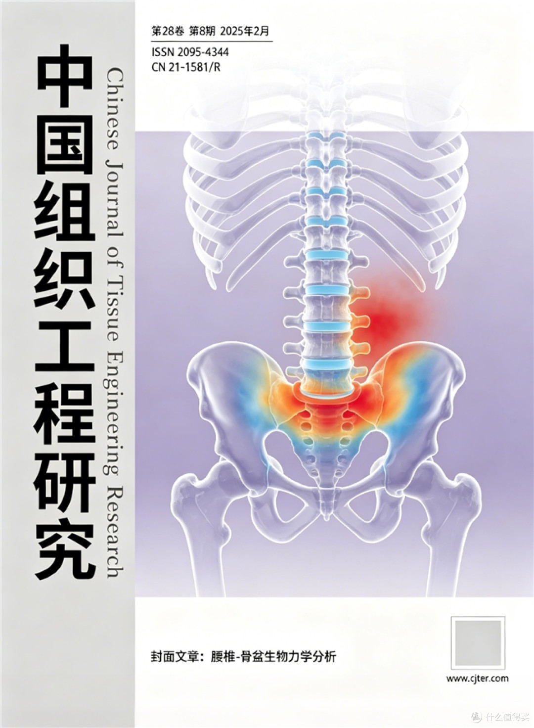 女生人体工学椅怎么选?预算千元内,看这几个指标就够了