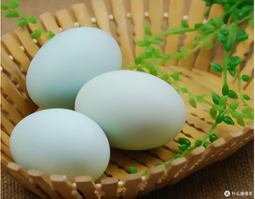 夏季吃蛋就吃它，一促进食欲、二清肺去热、三滋阴养血，老少皆宜