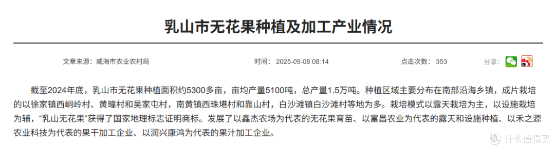 提到乳山,别只想到生蚝:这里还有一种甜蜜果实——青皮无花果