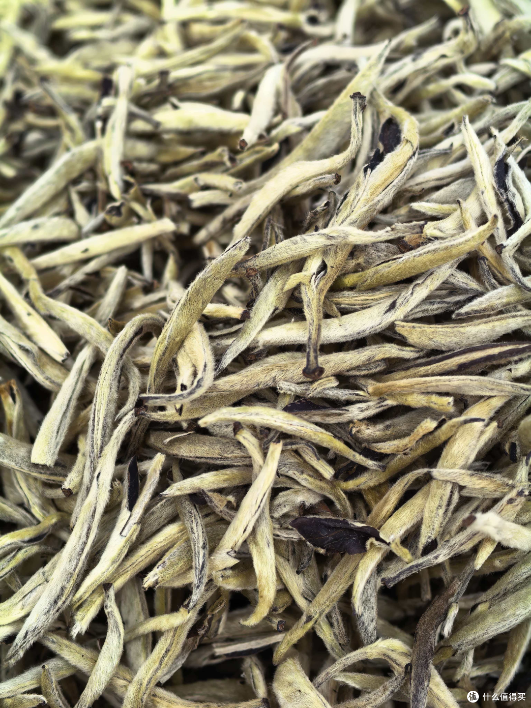 云南古树红茶品牌